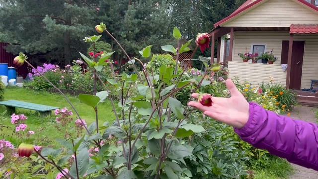 Юра по хозяйству. Дела с мамой смотреть онлайн