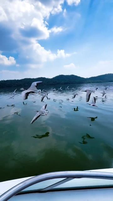 Психолог Берестов.