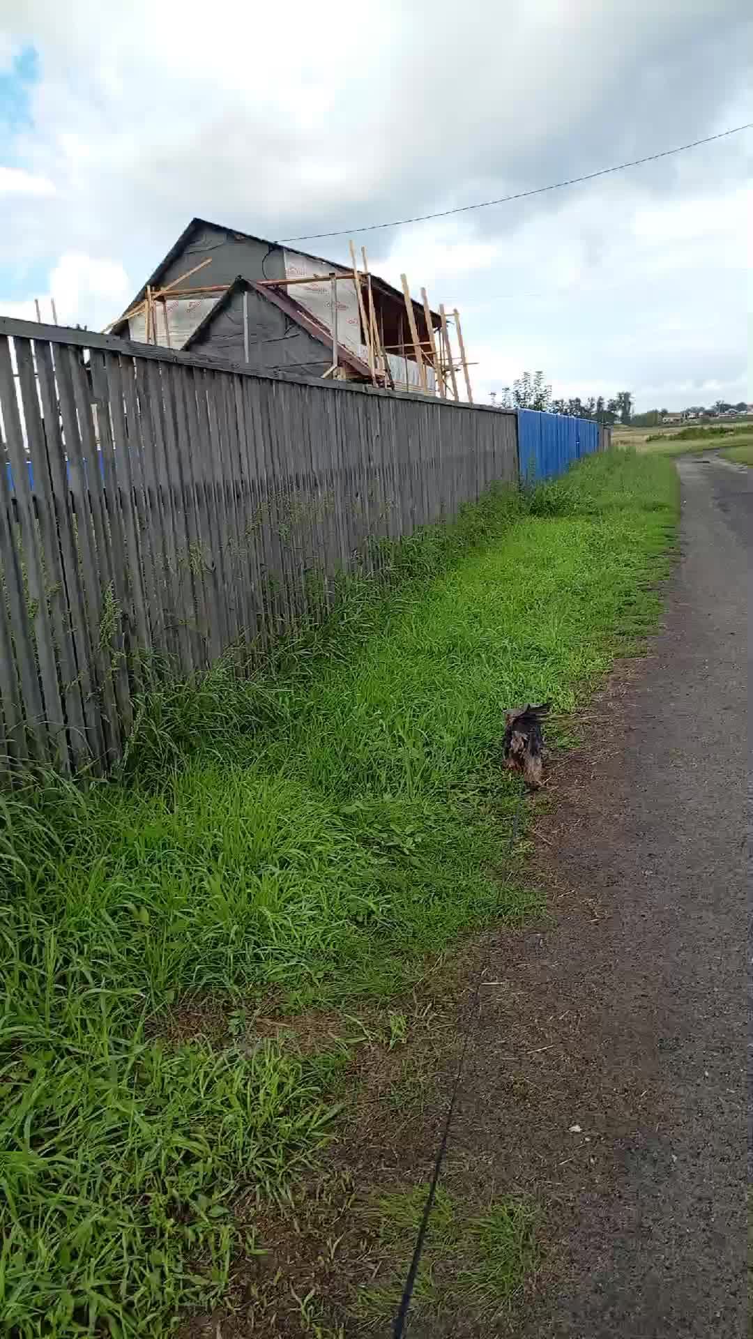 . смотреть онлайн