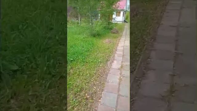 Дом д. Площево