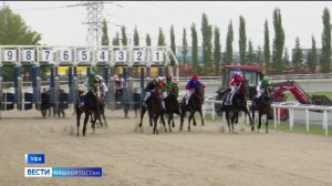 На ипподроме «Акбузат» прошел уфимский дерби - репортаж «Вестей»