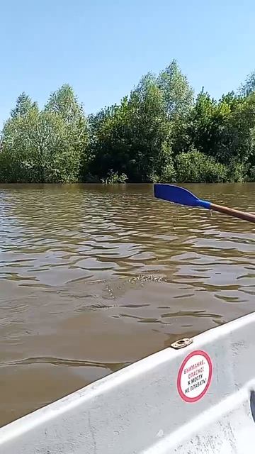 Гребля #shorts