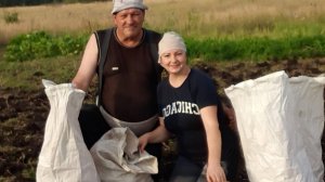 ЧУМАЗЫЕ КАК ЧЕРТИ, КАПАЕМ КАРТОШКУ, ВЕЧЕРНЯЯ СУЕТА