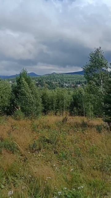 Кузнецова смотреть онлайн