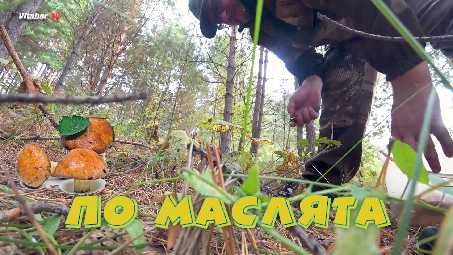 По Маслята!