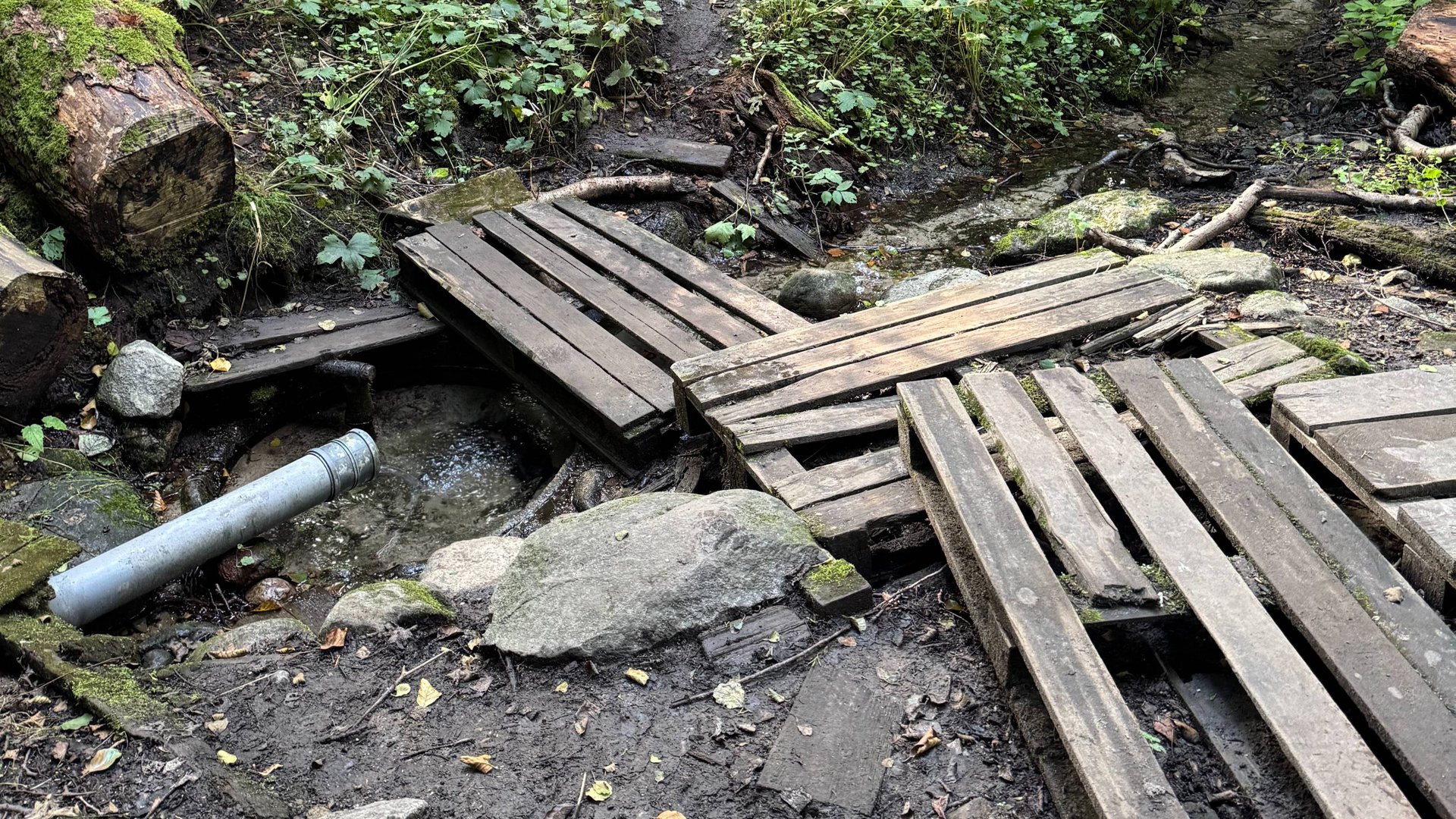 Родник в посёлке Калиновка (Калининградская область)