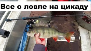 Всё о ловле на цикаду.