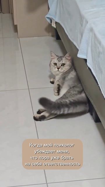 Про ответственность...