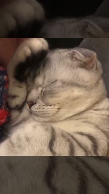 С добрым утром #shorts