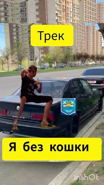 Кошка Котунья