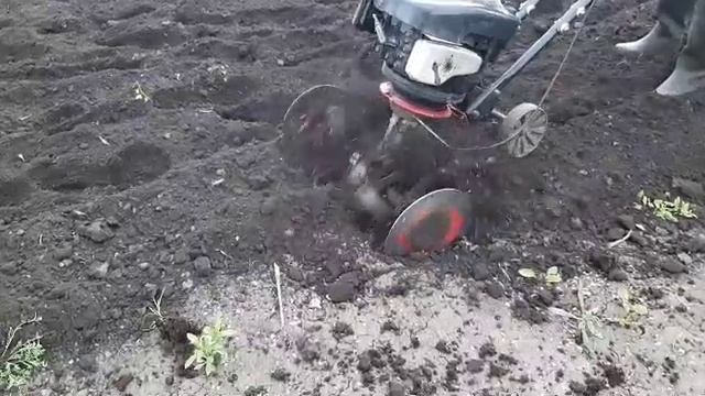 Отдыхаем на даче, пилим дрова, купаемся в бассейне, топим баню, жарим шашлыки