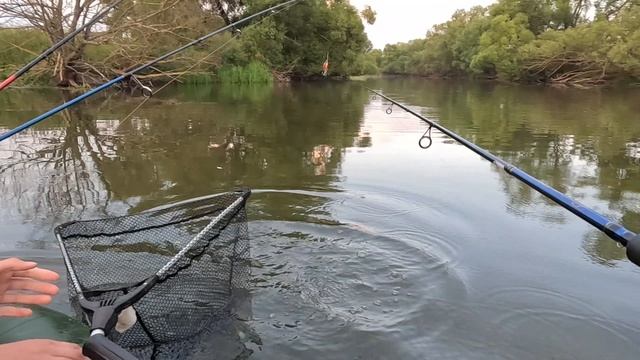 СБЕЖАЛА КРАСОТКА смотреть онлайн