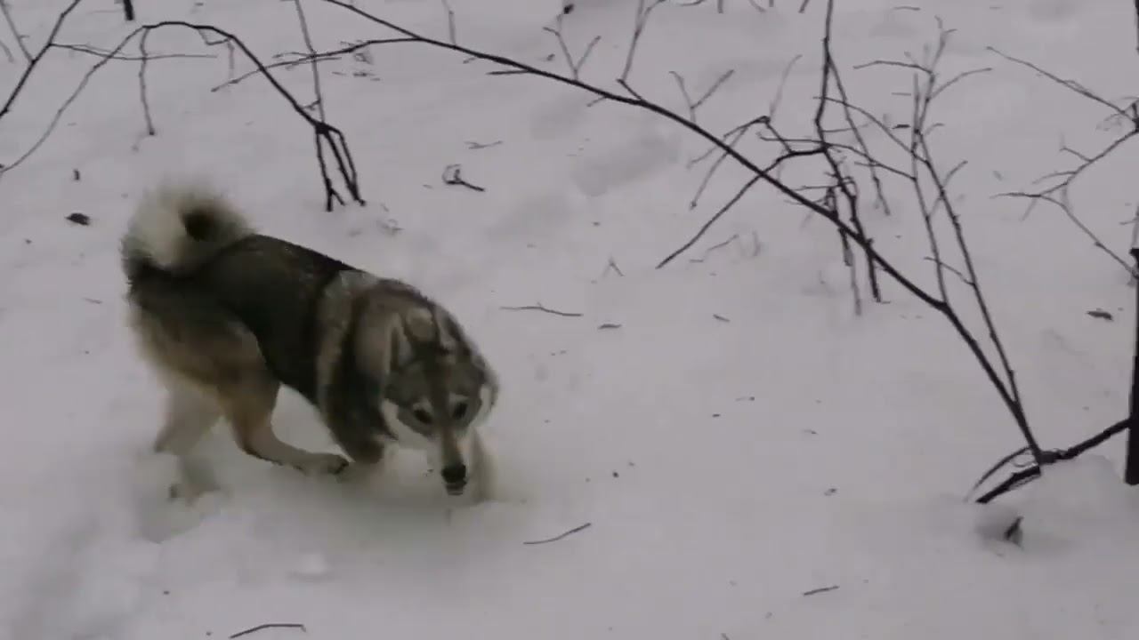 26 декабря 2022 г. смотреть онлайн