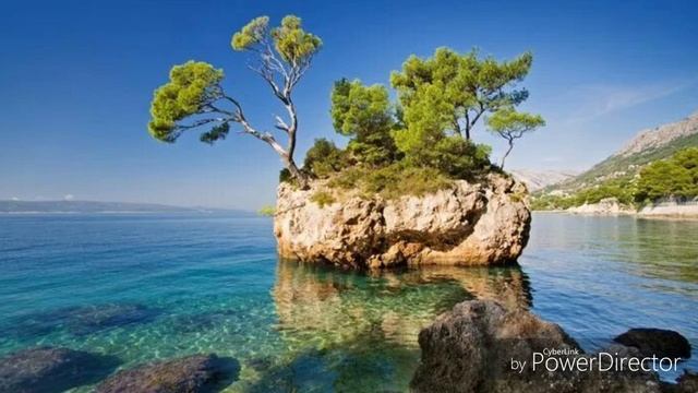 Заутренний Полёт