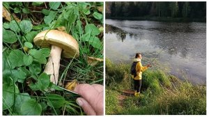 "Жизнь на пенсии".. Сходили в лес на разведку. Приготовила (том. сок) и пошли с Катюшкой на рыбалку.