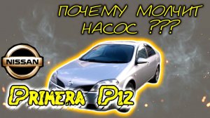 Nissan Primera P12. Почему молчит насос
