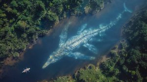 Более 20 морских существ_ которые ужасали ученых и моряков(1080P_HD)