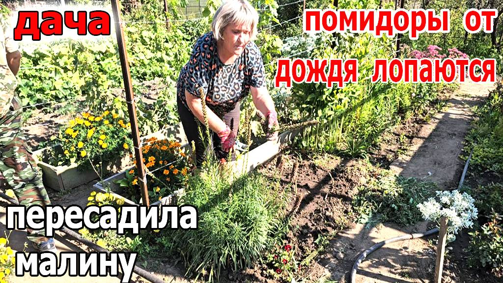 Дача.Обрезаем.Что то пересаживаем. И боремся с травой.Осень близко смотреть онлайн