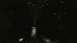 Проверка новинок от ServiceLine SL260 и SL201