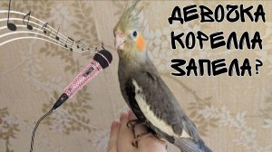 Девочка корелла запела?