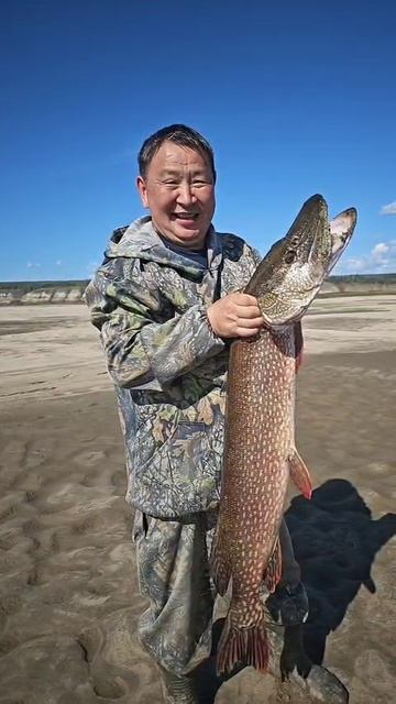 Поймал рыбу своей мечты! Остров Аан. Фирма "Аан Тур" 24.08.2025 г. #lena @rive# #pike #лена #щука смотреть онлайн