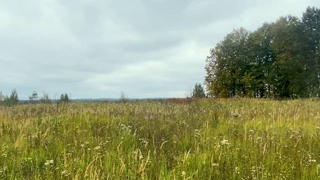 Смоленск смотреть онлайн