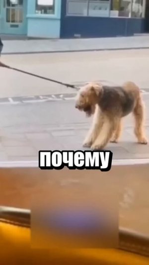 А почему в бар не идем