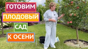 ВАЖНЫЕ ЭТАПЫ ПОДГОТОВКИ ПЛОДОВОГО САДА К ЗИМЕ!