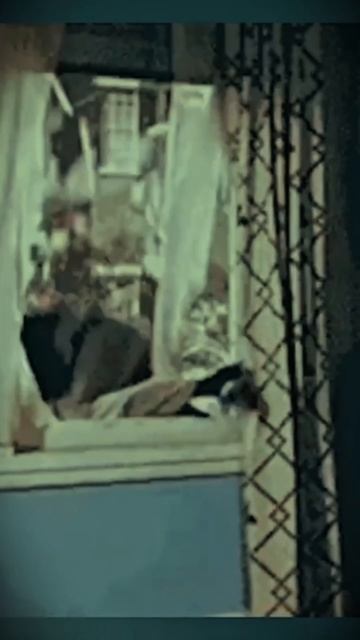 NOVACPAY.RU: Мир Финансов