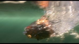 Прыгуны — Русский трейлер (2026)