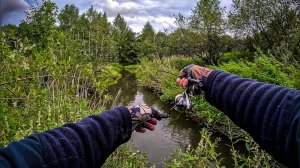ЩУКА СОЖРАЛА МОЮ РЫБУ на КРЮЧКЕ 😱 / РЫБАЛКА на КРАСИВОМ РУЧЬЕ со СПИННИНГОМ