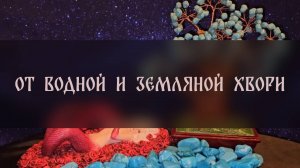ОТ ВОДНОЙ И ЗЕМЛЯНОЙ ХВОРИ. ДЛЯ ВСЕХ ▴ ВЕДЬМИНА ИЗБА. ИНГА ХОСРОЕВА