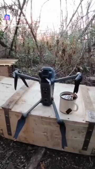 тропы.mp4 смотреть онлайн