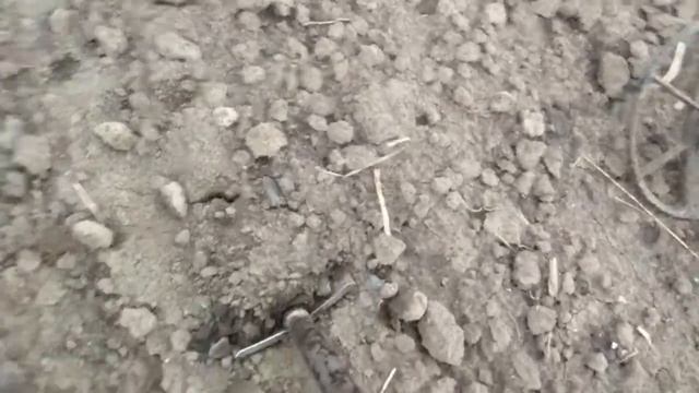 коп на древнем  поле.