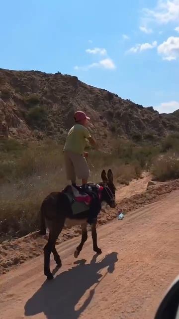 Жаңылыктар / Акыркы кабарлар / #tvkg