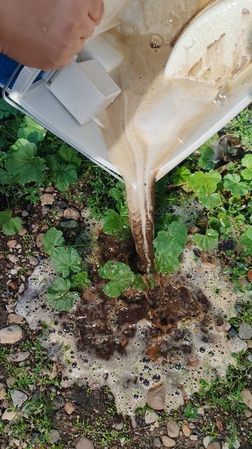 Жизнь необычного врача, 👌👌👌