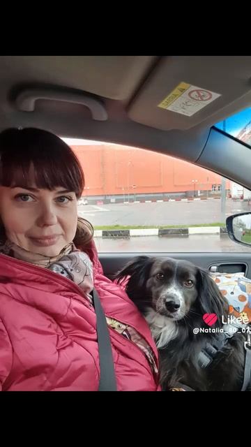 Собачка Черничка. Моя вселенная