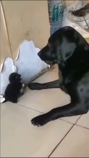 Малыш с характером