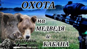 Пуля пробив КАБАНА ушла вверх! Охота на МЕДВЕДЯ и КАБАНА