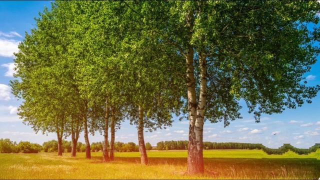 Я иду к тебе на встречу- Юрий Антонов смотреть онлайн