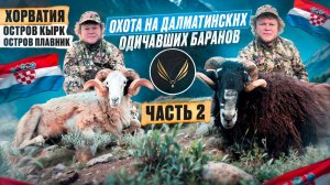 ГОРНАЯ ОХОТА В ХОРВАТИИ | ОХОТА НА МУФЛОНА И ДАЛМАТИНСКОГО БАРАНА | ЧАСТЬ 2