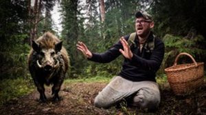 Зловещее Место грибника - КАБАНЬИ ТРОПЫ! Детский страх или жуткие реалии Леса.