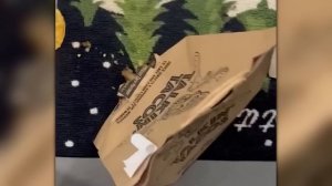 1 на Миллион! Шокирующие Кадры, Снятые на Камеру