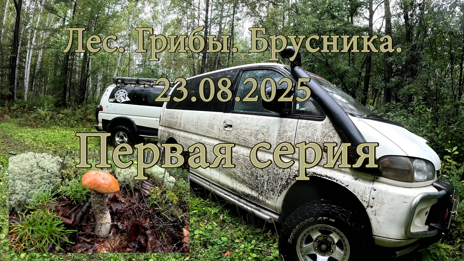 Лес. Грибы. Брусника. Мицубиси Делика. Первая серия. смотреть онлайн