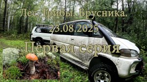 Лес. Грибы. Брусника. Мицубиси Делика. Первая серия.