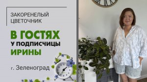 В гостях у Ирины г. Зеленоград. Неожиданный любимец, гигант декабрист, фитостена и женское счастье.