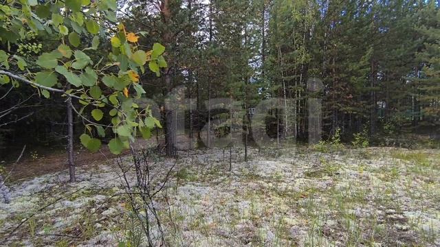 9587865 СНТ Сурмятино смотреть онлайн