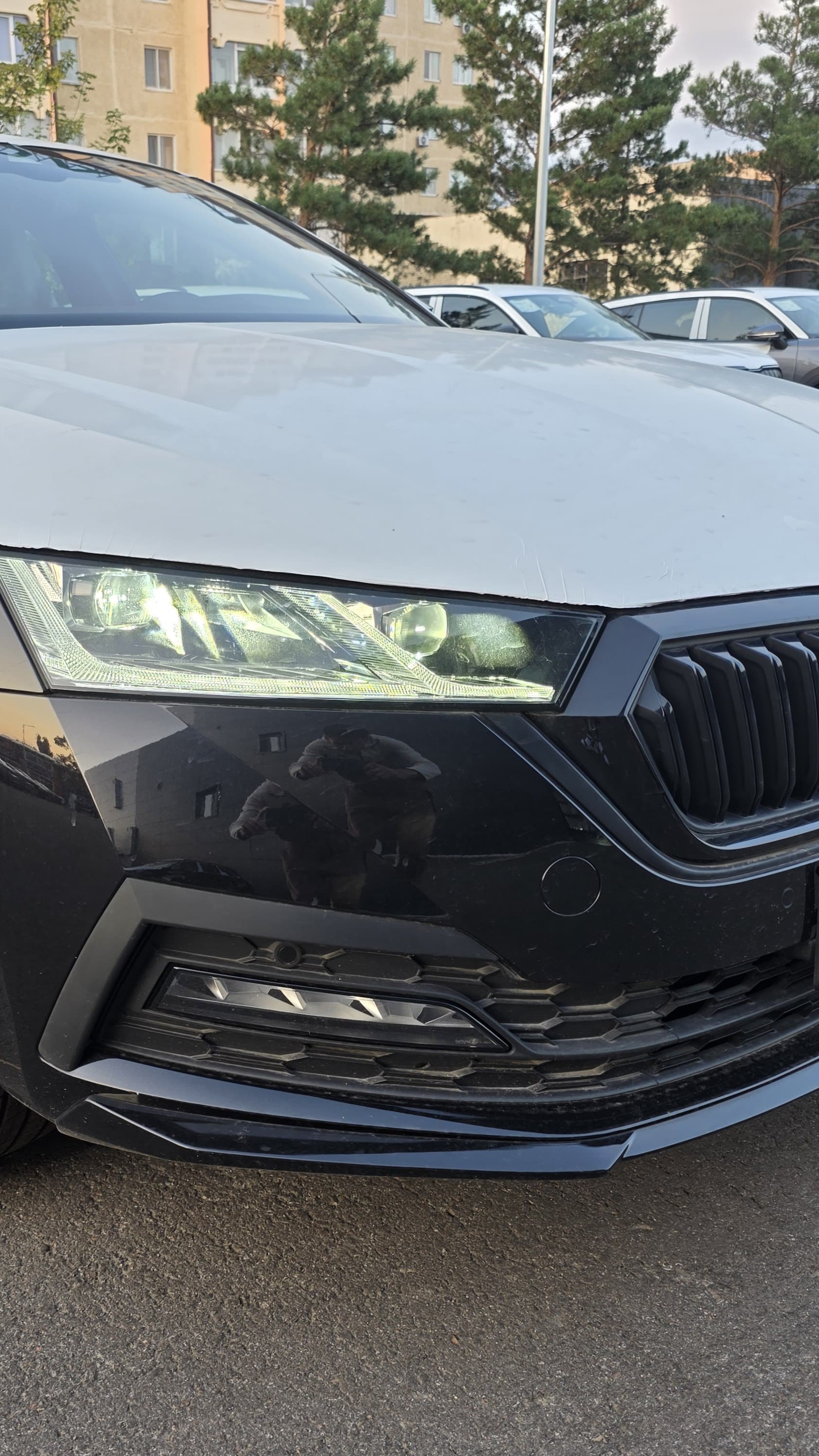 Skoda Octavia Sportline в чёрном цвете