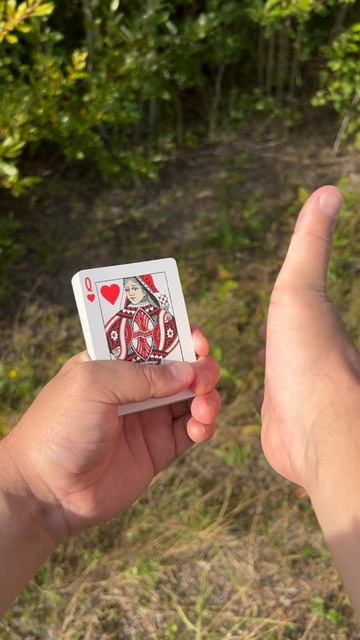 Искусство без границ