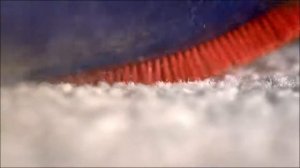 Беспроводной пылесос Dyson V8